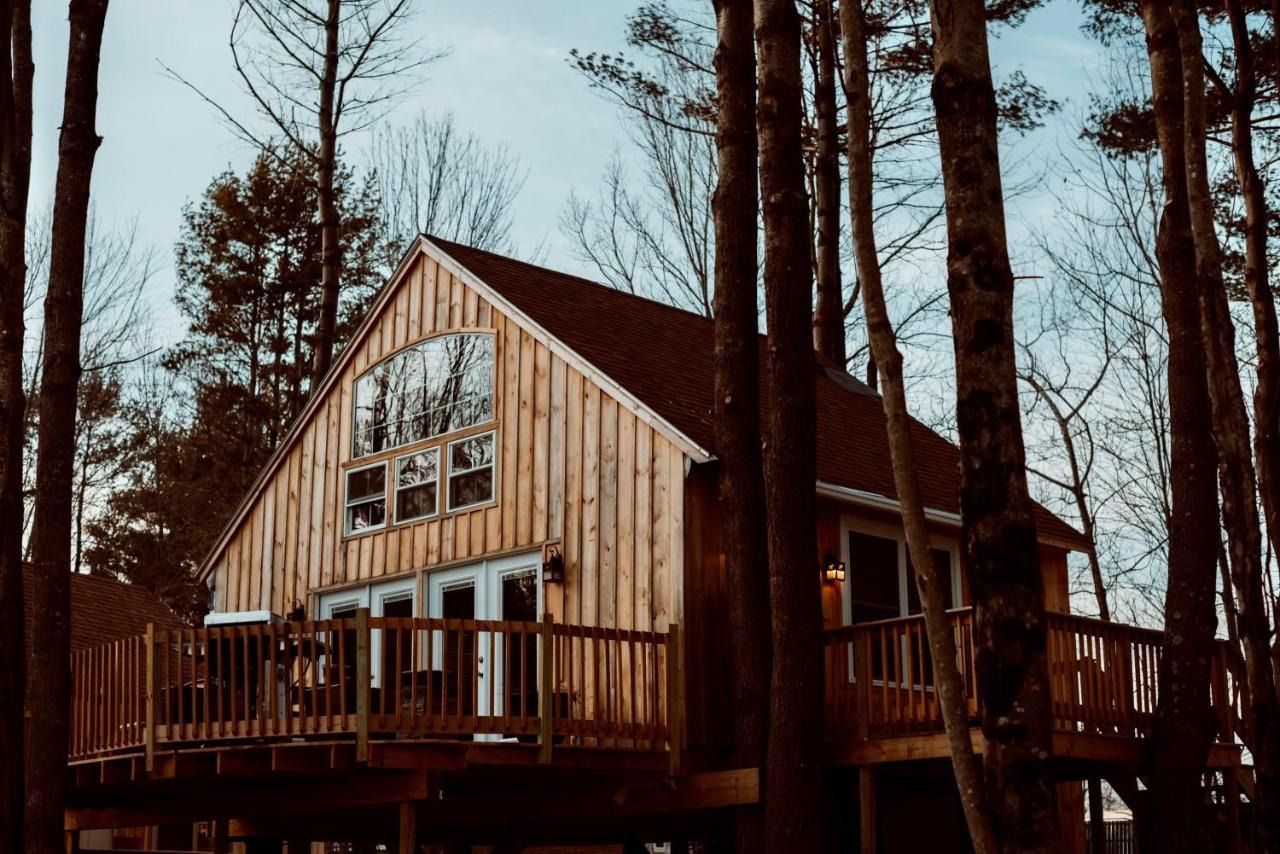 Skyview Treehouse Villa Belgrade Dış mekan fotoğraf